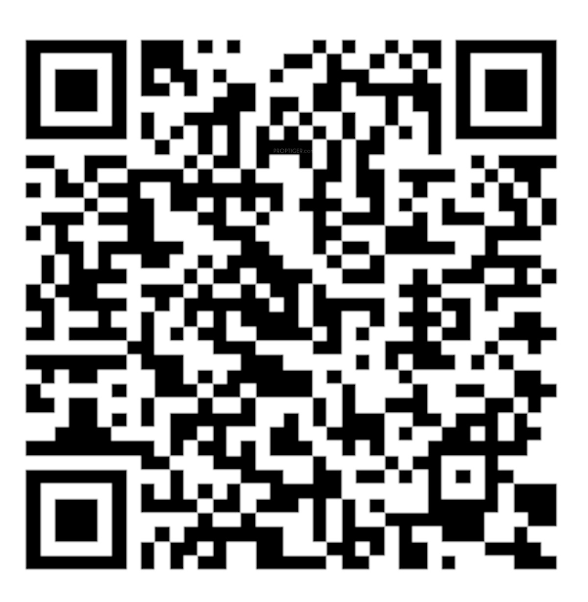 QR Image