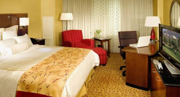 Images for Main Other of KD Sai Glory Images for Main Other of KD Sai Glory