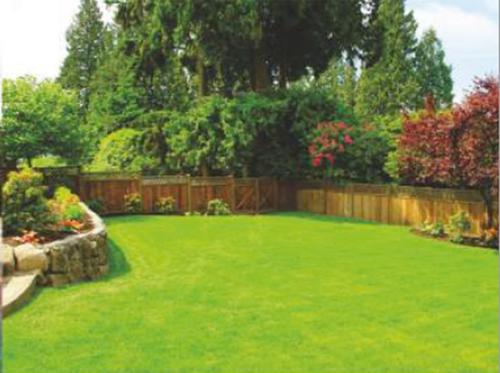  vedanta Landscape Garden and Tree Planting