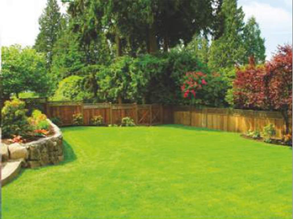  vedanta Landscape Garden and Tree Planting