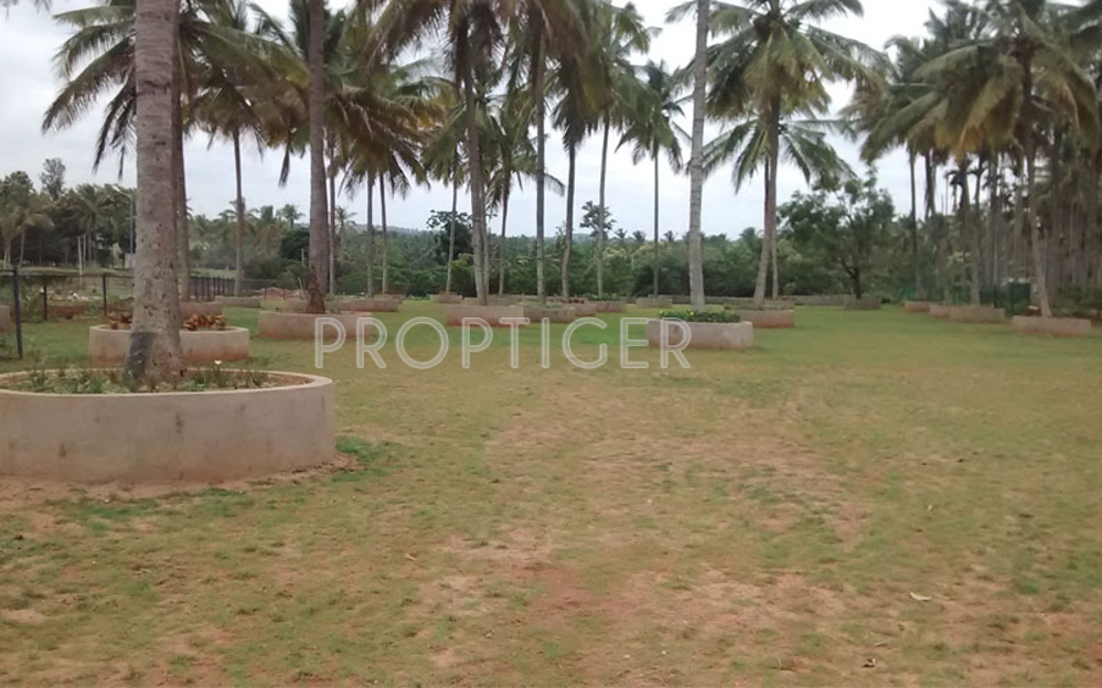 Images for Main Other of Bluejay Ardley Phase2