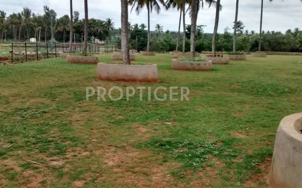 Images for Main Other of Bluejay Ardley Phase2