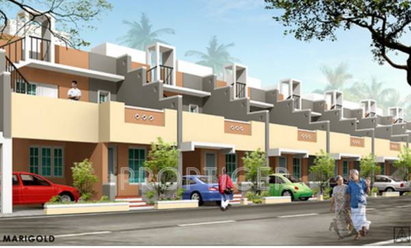 Images for Elevation of ABI Marigold