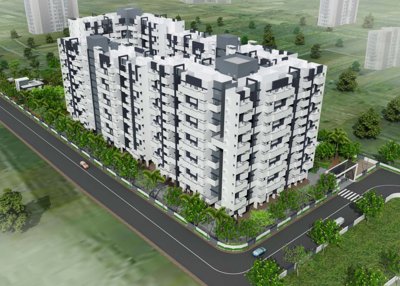 Images for Elevation of Sara Orchids orchids Images for Elevation of Sara Orchids