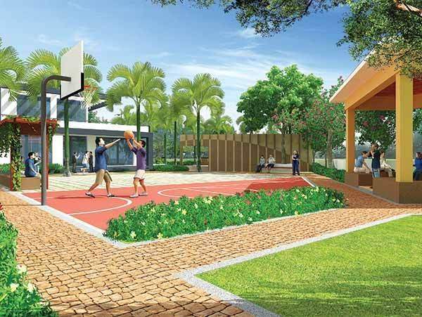 orchids Images for Amenities of Sara Orchids