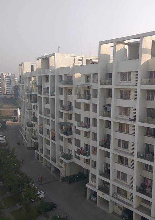  celestial city Elevation