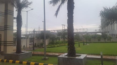 Landscape Garden and Tree Planting grand-wellington Landscape Garden and Tree Planting