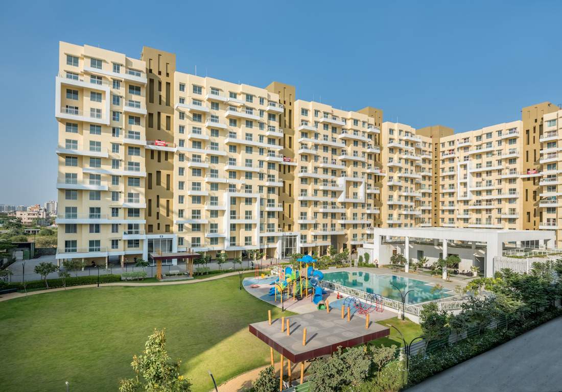 Images for Elevation of Karia Konark Orchid