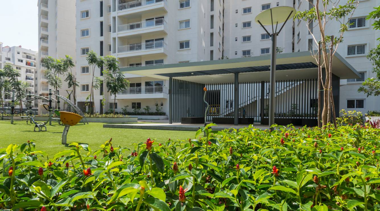 Images for Amenities of DNR Atmosphere