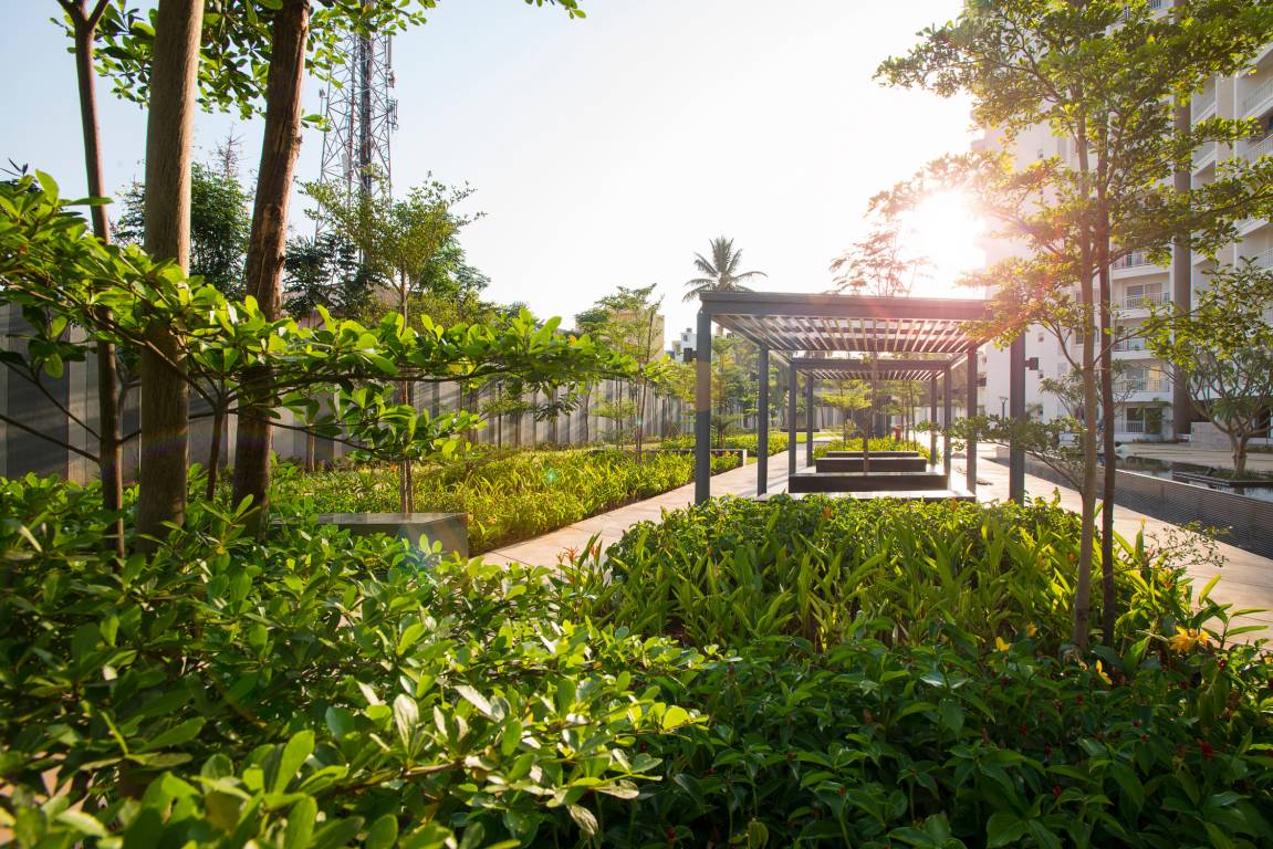 Images for Amenities of DNR Atmosphere