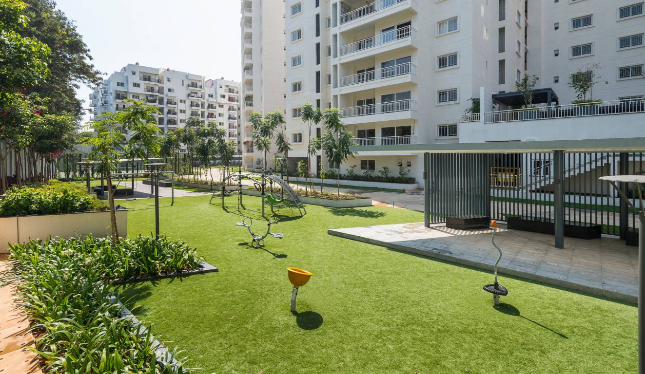 Images for Amenities of DNR Atmosphere