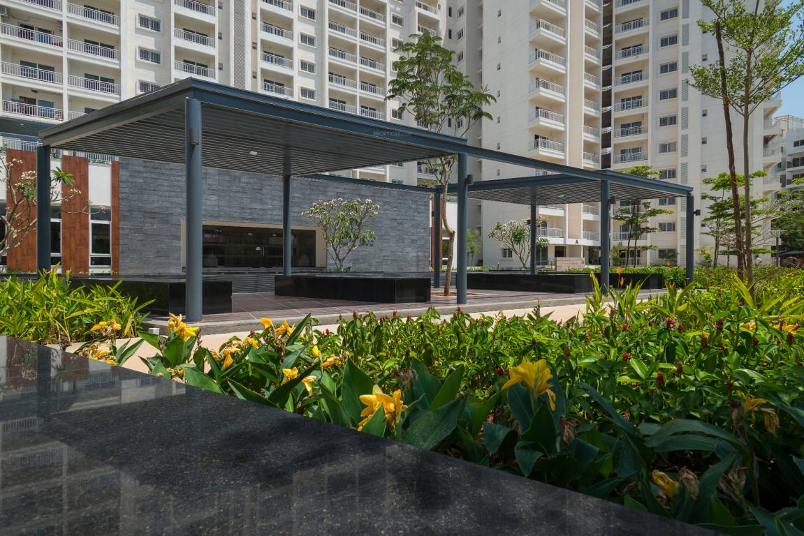 Images for Amenities of DNR Atmosphere