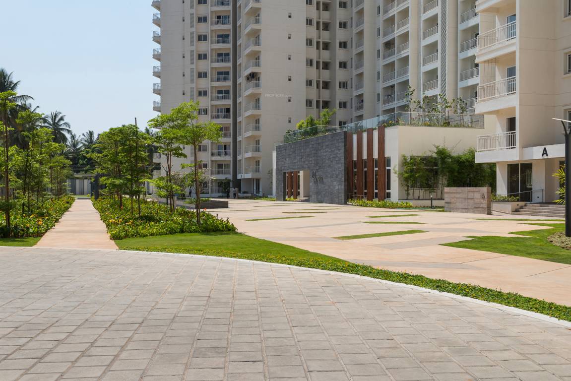 Images for Amenities of DNR Atmosphere