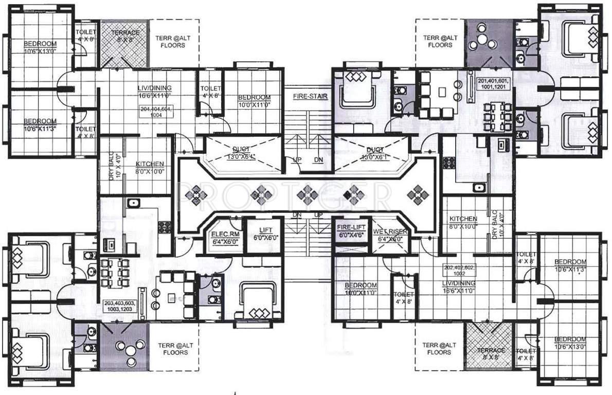 Images for Cluster Plan of Rainbow Revell Orchid
