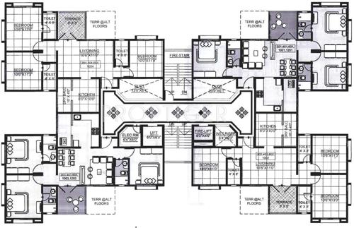 Images for Cluster Plan of Rainbow Revell Orchid Images for Cluster Plan of Rainbow Revell Orchid