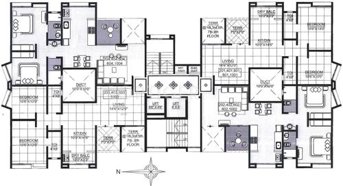 Images for Cluster Plan of Rainbow Revell Orchid Images for Cluster Plan of Rainbow Revell Orchid