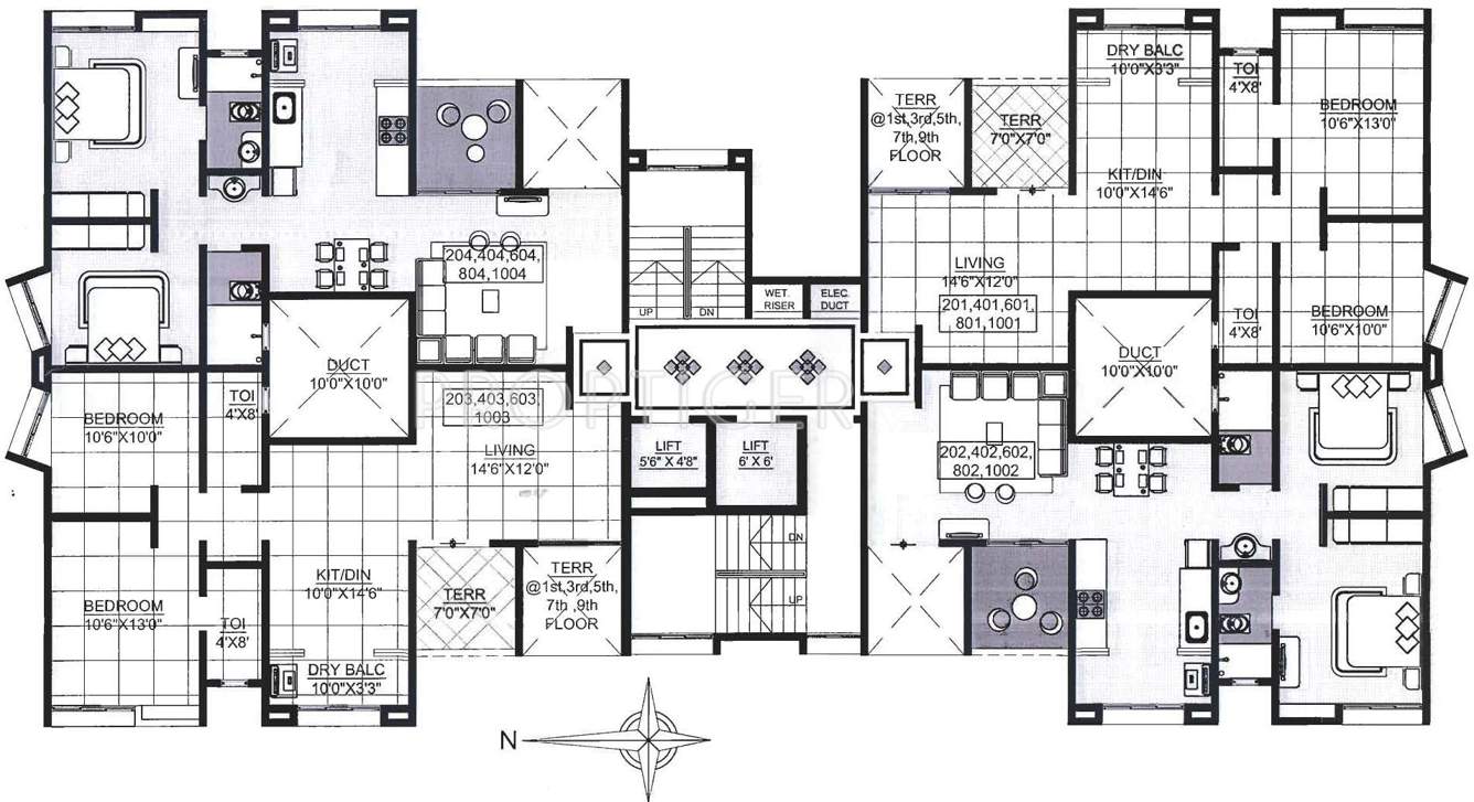 Images for Cluster Plan of Rainbow Revell Orchid
