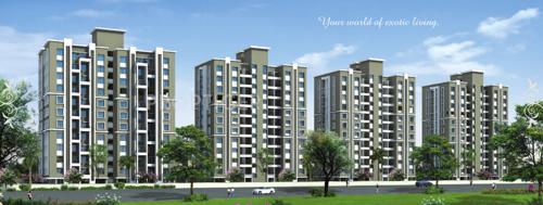 Images for Elevation of Rainbow Revell Orchid