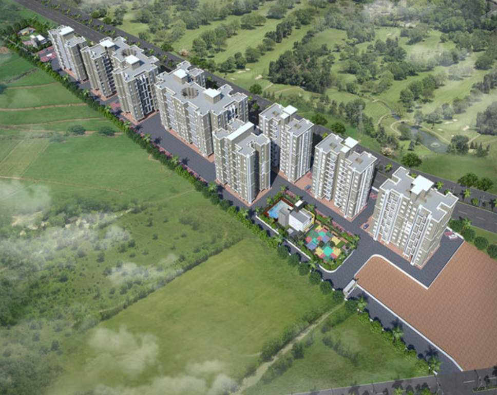 Images for Elevation of Rainbow Revell Orchid