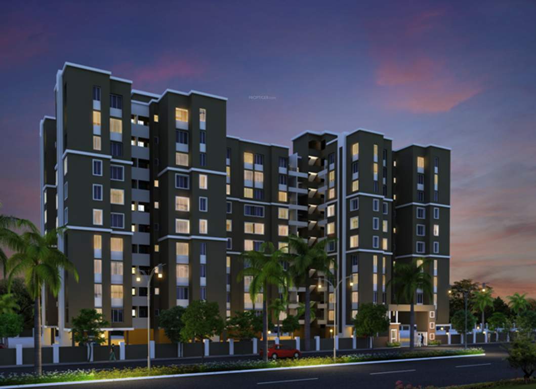 Images for Elevation of Rainbow Revell Orchid