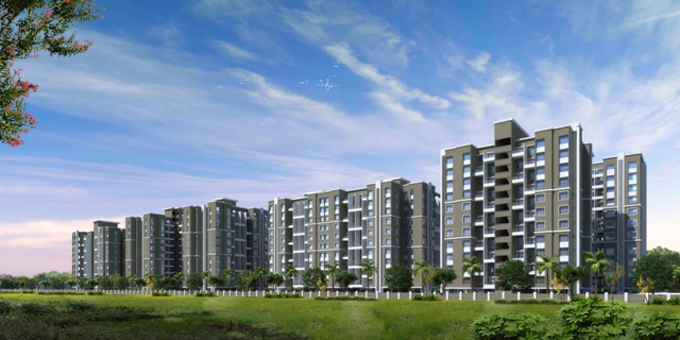 Images for Elevation of Rainbow Revell Orchid