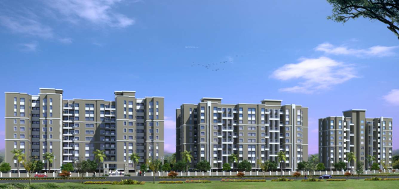 Images for Elevation of Rainbow Revell Orchid