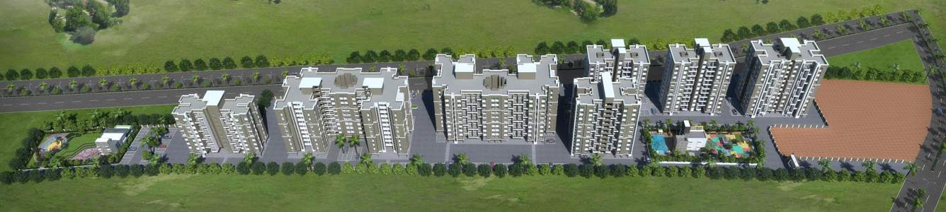 Images for Elevation of Rainbow Revell Orchid