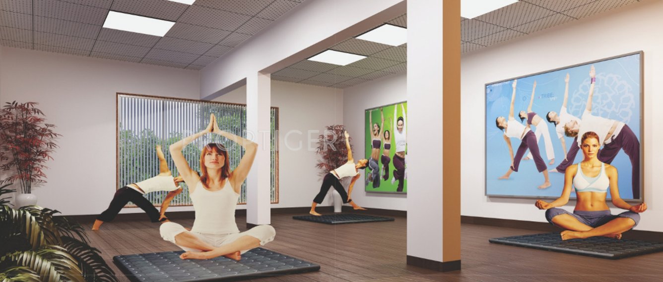 Images for Amenities of Royal Star Star Vie