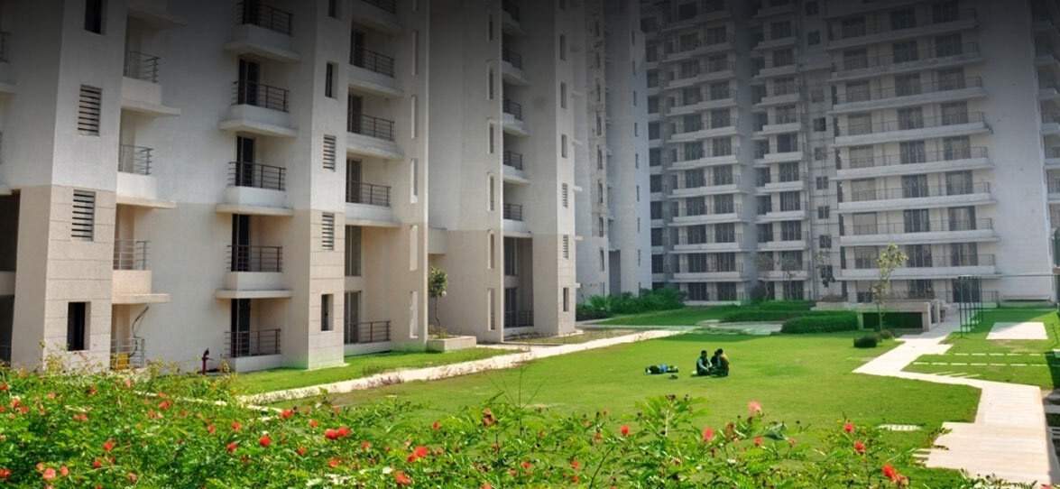  la tropicana Landscape Garden and Tree Planting