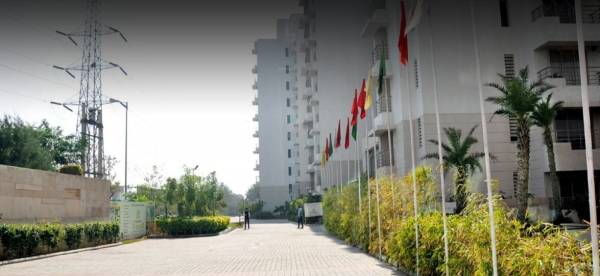  la-tropicana Paved Compound