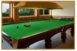  amrut-pearl Badminton Court