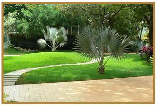  amrut pearl Landscaped Gardens