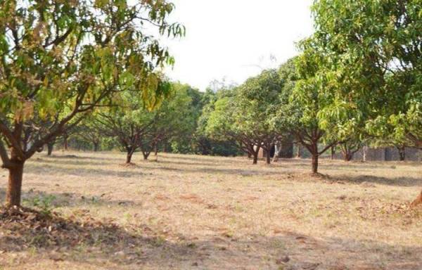  vrindavan-garden Main Other