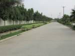  gurgaon-99 Internal Roads & Footpaths
