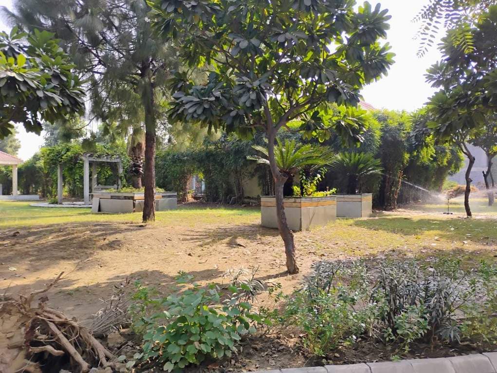  gurgaon 99 Landscape Garden and Tree Planting