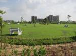  gurgaon-99 Landscape Garden and Tree Planting