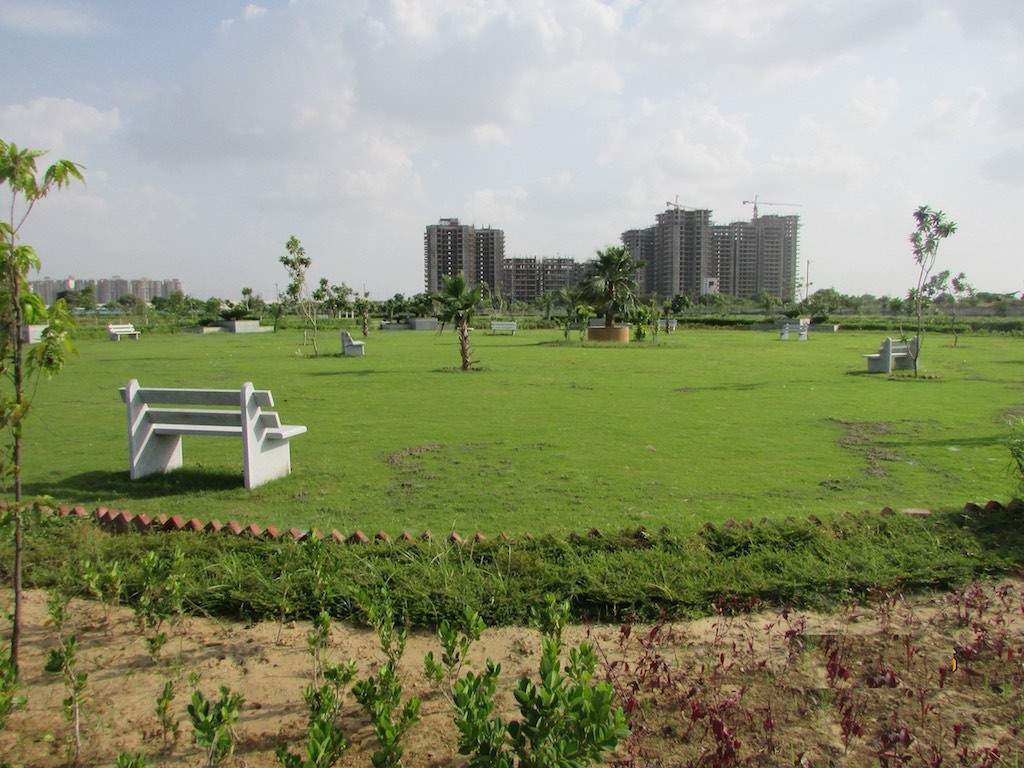  gurgaon 99 Landscape Garden and Tree Planting