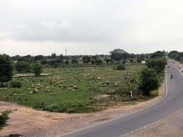 gaur yamuna city Plot