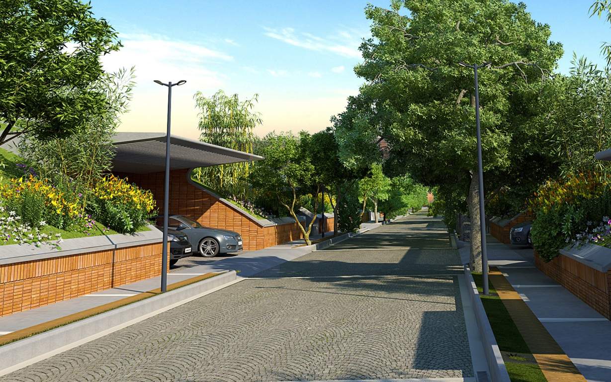 after the rain Images for Elevation of Total Environment After The Rain