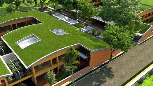 Images for Elevation of Total Environment After The Rain after-the-rain Images for Elevation of Total Environment After The Rain