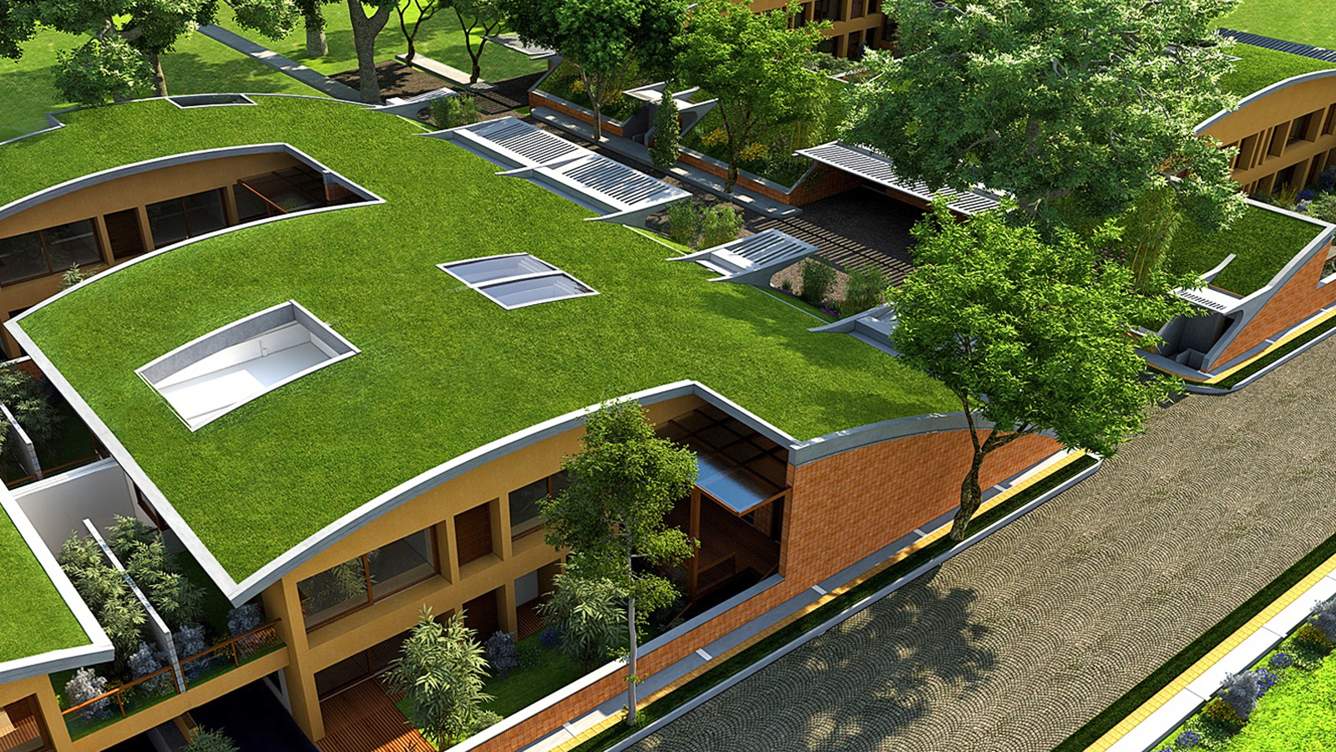 after the rain Images for Elevation of Total Environment After The Rain