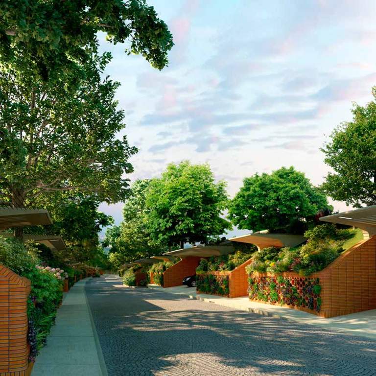 after the rain Images for Elevation of Total Environment After The Rain