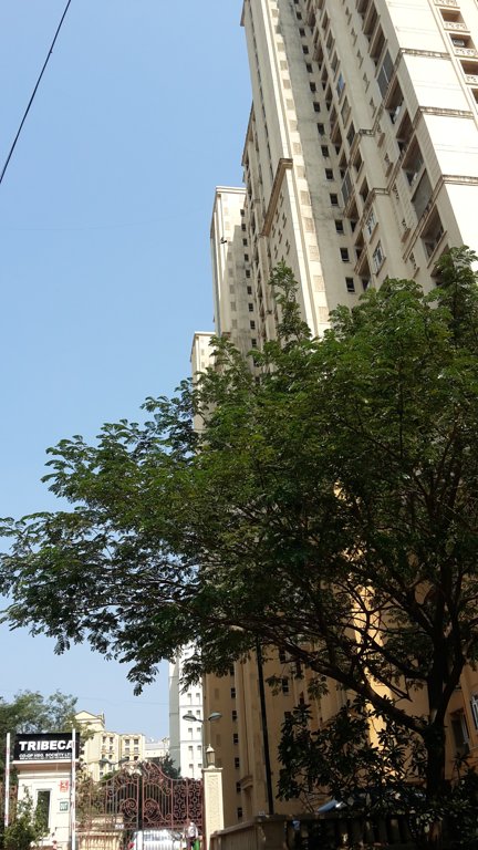  tribeca Images for Project