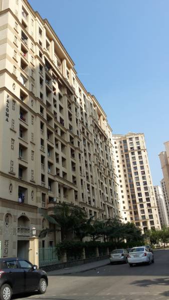  paloma Images for Project