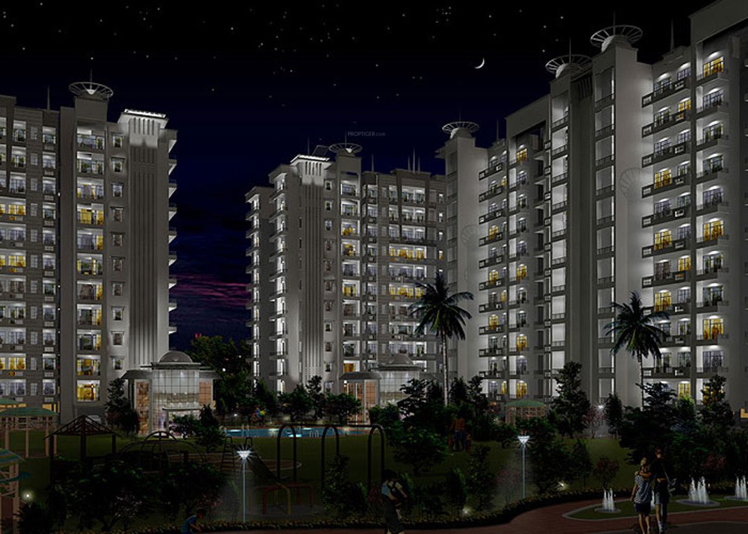 Images for Elevation of Value Meadows Vista1