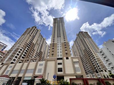 Elevation elysia Elevation