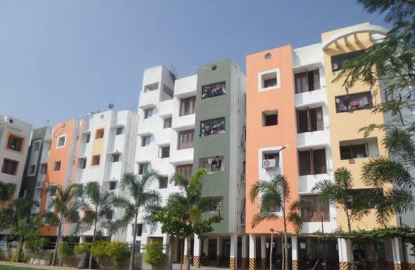  pacific-city Elevation