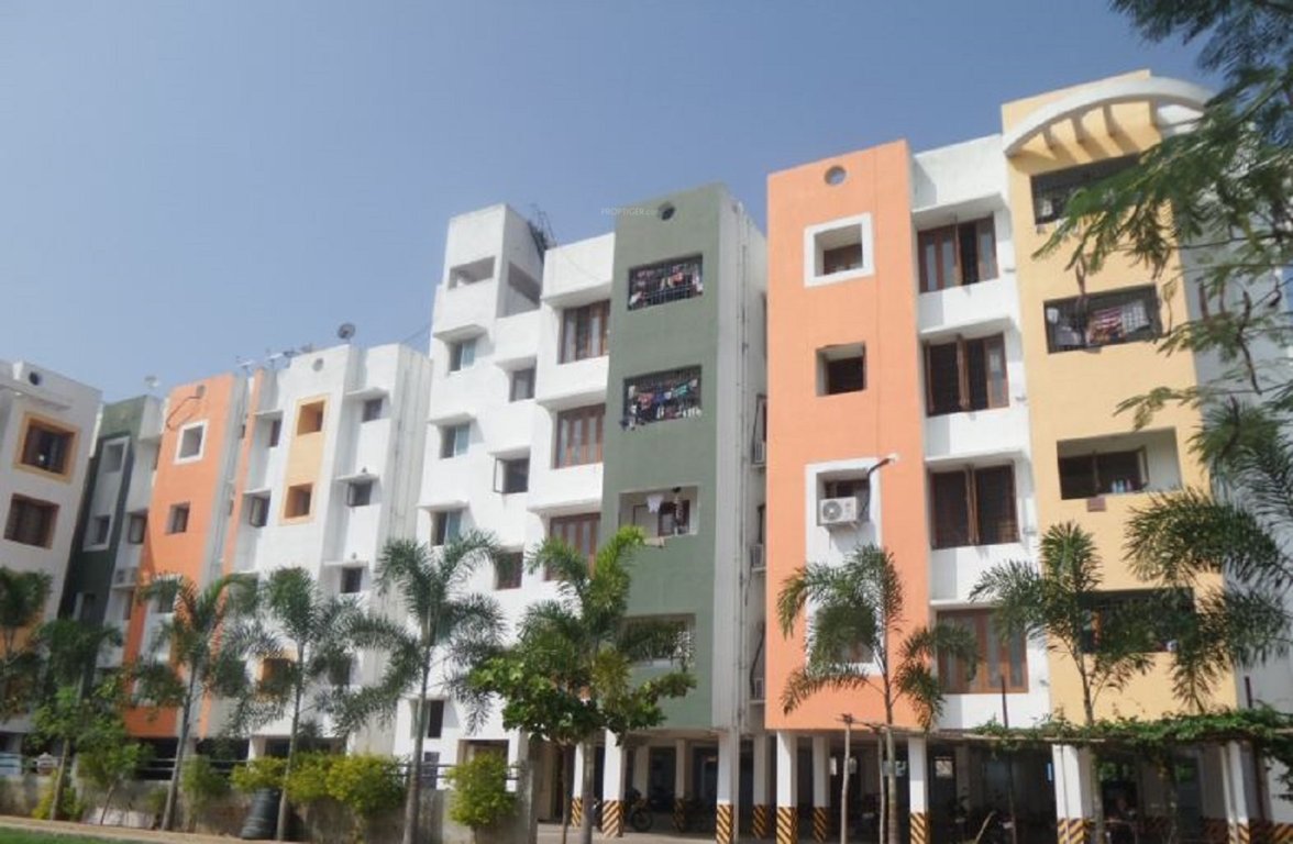  pacific city Elevation