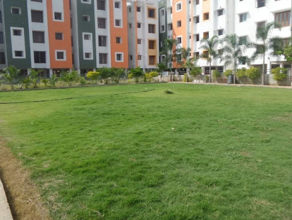  pacific city Landscape Garden and Tree Planting