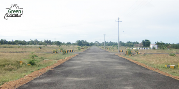 Images for Amenities of My Green Citadel